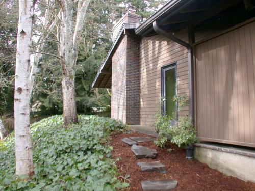 Lower level fireplace